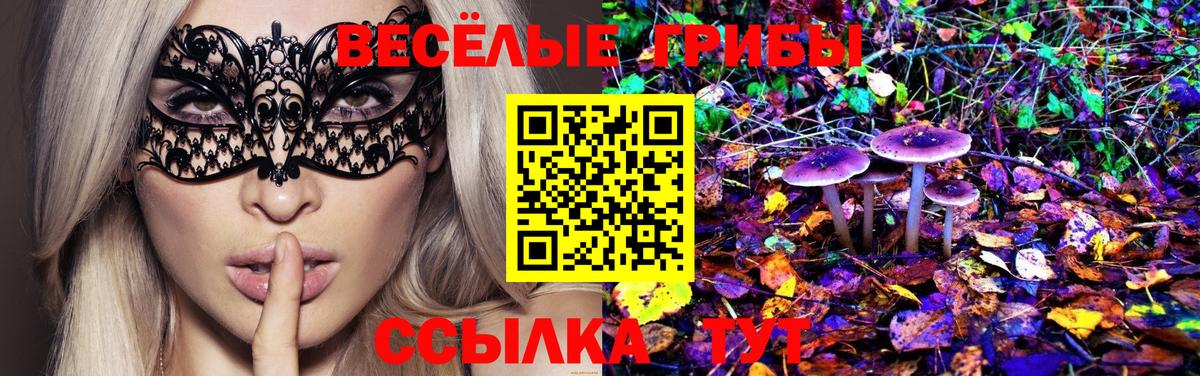 Галлюциногенные грибы Cubensis Бирск