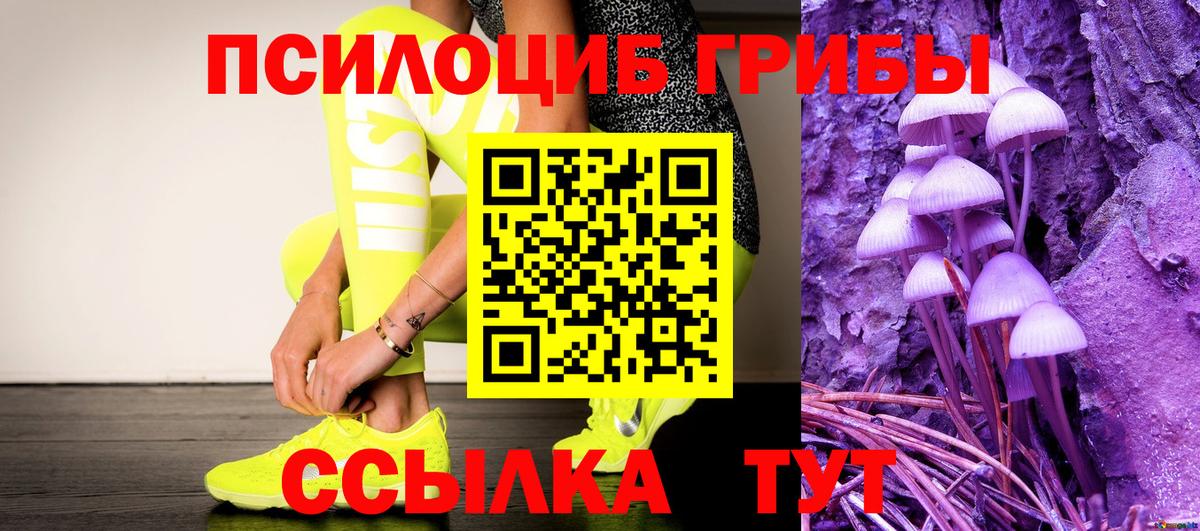 купить  цена  Вход с VPN  Бирск  Галлюциногенные грибы GOLDEN TEACHER  Псилоцибиновые грибы MAGIC MUSHROOMS 