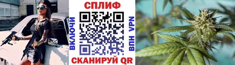 МАРИХУАНА планчик  Бирск 